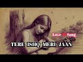 Tere Ishq Mein Jaan | Love Song 🎵