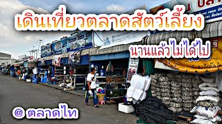 เดินเที่ยวโซนสัตว์เลี้ยง ที่ตลาดไท #NCO544