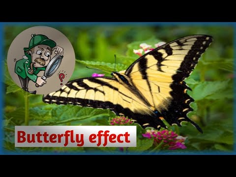 Butterfly Effect Kya Hota Hai? What Is Butterfly Effect?? ||real Truth #butterfly #chaostheory ...