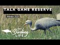 Tala Collection Game Reserve | The Birding Life