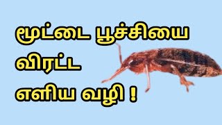 How to Get Rid of Bed Bugs | மூட்டை பூச்சியை விரட்ட எளிய வழி | @JebaTravelVideos