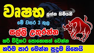 වෘෂභ ලග්නය Wushaba Lagnaya  ගොඩ යමු ලග්න පලාඵල  Zoo TV Lagna Palapala Jothishya Astrology Wrushabha