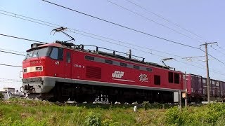 ﾚｯﾄﾞｻﾝﾀﾞｰEF510-8牽引高速貨物4095ﾚ　名古屋→新潟