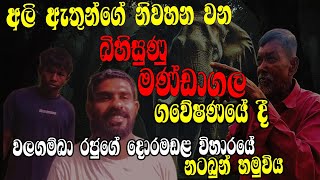 -අලි ඇතුන්ගෙන් පිරුණ දොරමඩල පුරාණ විහාරය  හෙවත් මන්ඩාගල ගවේෂණය-Don't even think about going alone