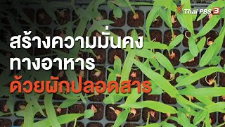 สร้างความมั่นคงทางอาหารด้วยผักปลอดสารเพื่อคนเมือง : ประเด็นสังคม (26 ส.ค. 63)