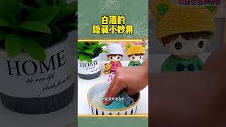 『一瓶白酒有多少隐藏功能？答案绝对超出你的想象！🤓』#shorts  #short #subscribe #shortvideo #like #科普 #抖音 #熱門 #diy #推荐 #推薦