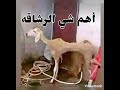 الضحك دواء لكل مرض