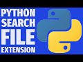 Build a File Search App with Python and Regex (Step-by-Step) Project 2025