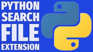 Build a File Search App with Python and Regex (Step-by-Step) Project 2025