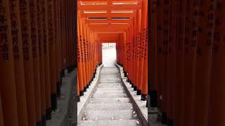 Hie Shrine, Tokyo ⛩️ #japan #tokyo