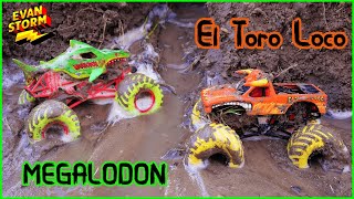 Monster Trucks Mud Backyard Play & Racing with El Toro Loco and Megalodon Treasure Discovery