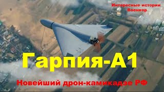 Гарпия-А1. Новейший дрон-камикадзе Российской Федерации