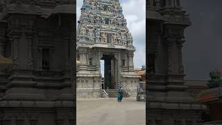 💥💥 சென்னிமலை சுப்பிரமணிய அதை நோக்கி #song #music #love #tamilsong #thiruchendurmurugantemple #food