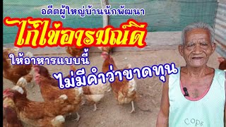 เลี้ยงไก่ไข่อารมณ์ดี ให้อาหารแบบนี้ไม่มีคำว่าขาดทุน