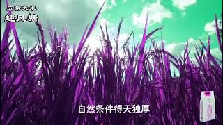 黑龙江五常有机稻花香…#乡村振兴 #优质农产品 #助力三农