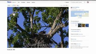 Tutorial on How To Edit a Wikispace Page