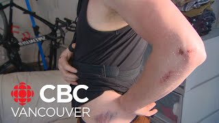 Bear collides with cyclist in North Vancouver.