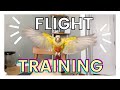 TEACH YOUR BIRD TO FLY TO YOU | How to Flight Train Your Bird (Bird Training Tutorial)