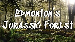 Jurassic Forest Edmonton Alberta