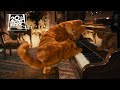 Garfield: A Tail of Two Kitties | "Just Call Me 'Your Highness'" Clip | Fox Family Entertainment