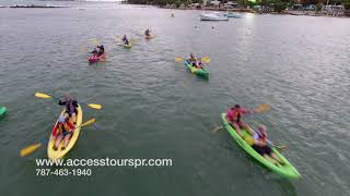 Bioluminescent Bay Night Kayaking Tour in Laguna Grande, Fajardo PR