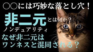 非二元ノンデュアリティ♡非二元(ノンデュアリティ)とは何か？ワンネスと混同されまくる非二元…なぜ混同される？