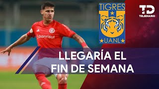 Rómulo Zwarg llegaría el fin de semana para reportar con Tigres