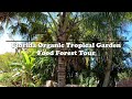 Florida Organic Edible / Tropical Garden Food Forest Tour | February Zone 10a