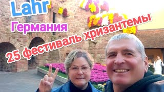 Фестиваль Хризантем в г.Лар Германия.3 ноября 2024 .Lahr Germany.