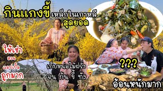 EP.497 Go to gather dandelion vegetables to cook local Thai food. (Cassia curry) 