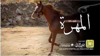 بندر الذرفي - المهرة (حصرياً) | 2024