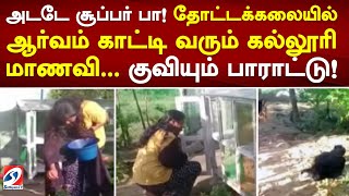 அடடே சூப்பர் பா! தோட்டக்கலையில் ஆர்வம் காட்டி வரும் கல்லூரி மாணவி..குவியும் பாராட்டு!