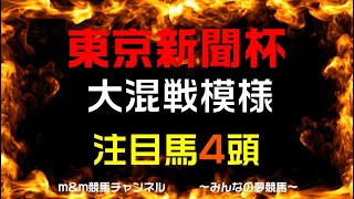 東京新聞杯2023　競馬予想　大混戦模様　注目馬4頭