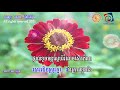 original song បទថ្មី ថ្ពាល់ខួចមន្តស្នេហ៍ thpal khuoch monsne ម៉ាឌីហ៊្សន