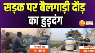 Bulandshahr : बुलंदशहर के सलेमपुर में हुड़दंग का वीडियो, सड़क पर बैलगाड़ी दौड़ का हुड़दंग