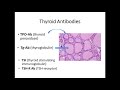 2016: Interpreting Abnormal Thyroid Function Tests & Understanding Indications for Treatment