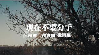 現在不要分手（官方歌詞版）- 張覺隆 Zhang Jue Long