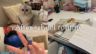 My after school routine ☕️ | studying, and that’s basically it.