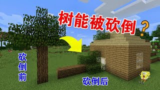 【呆呆cute｜Minecraft｜我的世界】：如果树能被砍倒，你需要注意哪些事项？