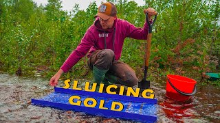 Sluicing for Gold in a Beautiful Creek