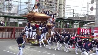 平成30年 春木地区 試験曳き 春木若松町のやりまわし ラパーク前