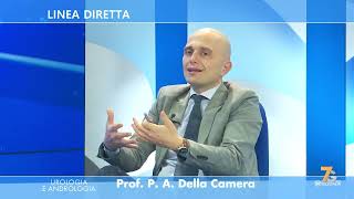 Linea Diretta 6 Dicembre 2024