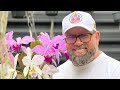 DESCOMPLICANDO O CULTIVO DE CATTLEYA SCHILLERIANA E ONCIDIUM