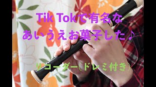 Tik Tokで有名な「あいうえお菓子した」をソプラノリコーダーで演奏してみた