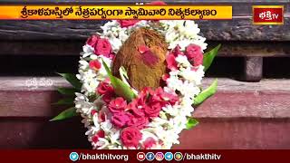 శ్రీకాళహస్తిలో నేత్రపరవంగా స్వామివారి నిత్య కల్యాణం | Devotional News | Bhakthi TV