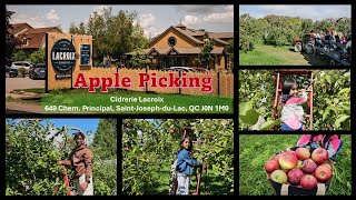 Apple Picking - Verger Cidrerie Lacroix. Trip from Montreal, Quebec to Saint-Joseph-du-lac, Quebec