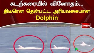 கடற்கரையில் வினோதம்...  திடீரென தென்பட்ட அரியவகையான Dolphin