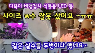 다육이 비행접시형 식물용 LED등 리뷰🔮사이즈 와 W 수 선택을 잘못 했어요🤣 짝궁이 키우는 선인장 분갈이도 하고 관엽식물들 보여 드려요🍀