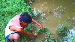 Believe This Fishing Unique Fish Trapping System Using Big Plastic Bottle By Smart Boy