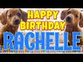 Happy Birthday Rachelle! ( Funny Talking Dogs ) What Is Free On My Birthday